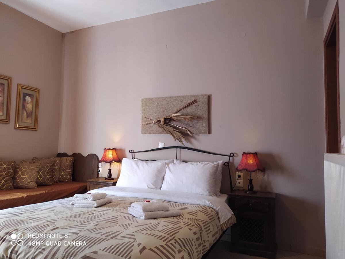 Xenonas Sta Tzakia Hotel Karpenisi Ngoại thất bức ảnh