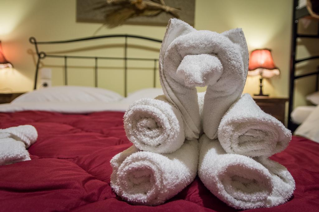 Xenonas Sta Tzakia Hotel Karpenisi Ngoại thất bức ảnh