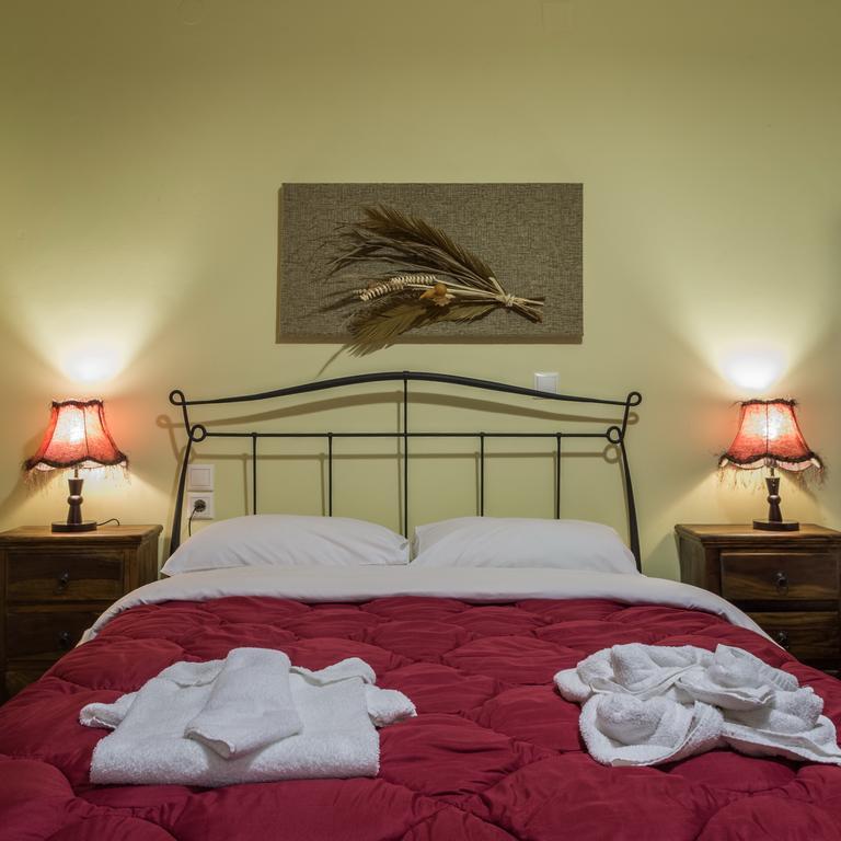Xenonas Sta Tzakia Hotel Karpenisi Ngoại thất bức ảnh